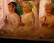 Fairies 1
