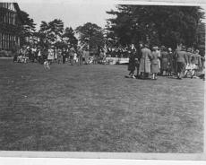 John Williams Flower show at Shakespeare Hall, date unknown