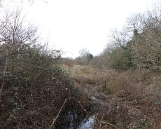 887E25D0-934D-4F80-8028-ACB5A1B99846 Remains of the old cut to the Lapworth Wharf running alongside Wharf Lane