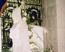 P1019D3 copy 9