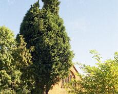 S5009 St Luke's Lowsonford