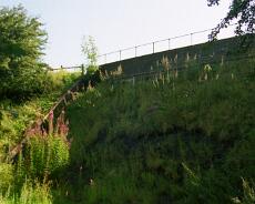 S6008 Old bridge that used to take Finwood Road under the railway. A new bridge was built to the West to go over both railway and M40