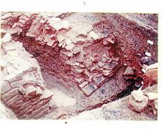 img20220127_0206 Roman tile kiln discovered near Dick's Lane