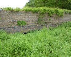P1020718 Old railway bridge over the Branch Line at Bushwood, the cutting has been filled in.