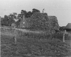 S1603 Rick building at Finwood Hill Farm